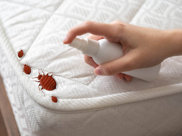 Best Indoor Pest Control  in Shannon Hills, AR